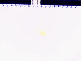 20260506163103287.tif
