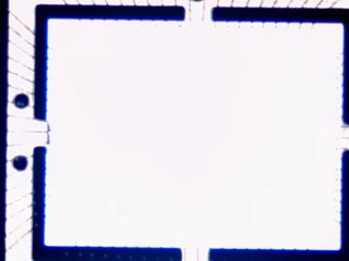 20260506163106308.tif