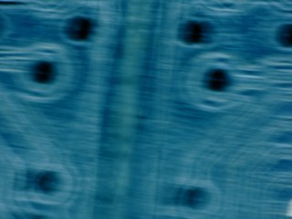 20260506172538912.tif
