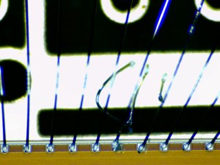 20260506172941267.tif
