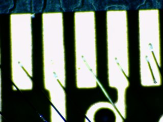20260506173148478.tif