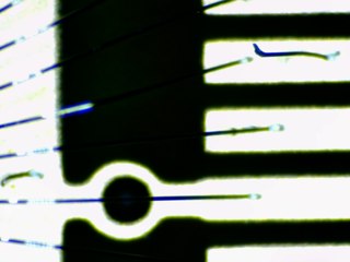 20260506173256569.tif