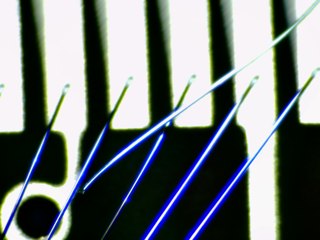 20260506173632815.tif