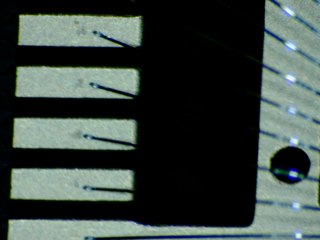 20260506173904890.tif