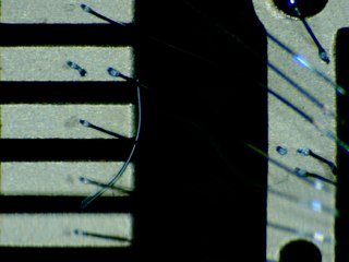 20260506173953964.tif