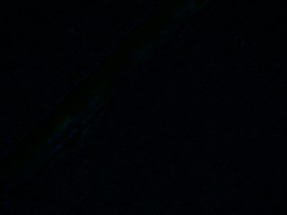 20260506174225205.tif