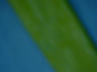 20260506174227202.tif