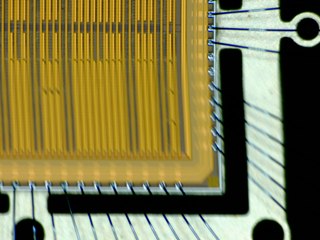 20260506175010084.tif