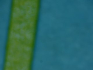 20260506175337314.tif