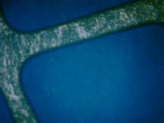 20260506175436389.tif