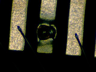20260506181911884.tif