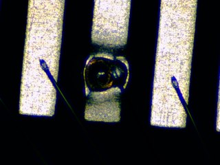 20260506181916924.tif