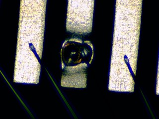 20260506181921946.tif