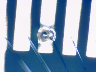 20260506181940943.tif