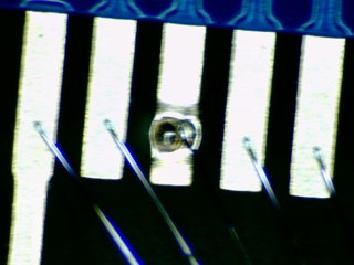 20260506181949936.tif