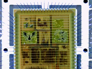 0010.jpg