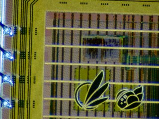 20260506154620294.tif