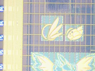 20260506154925176.tif