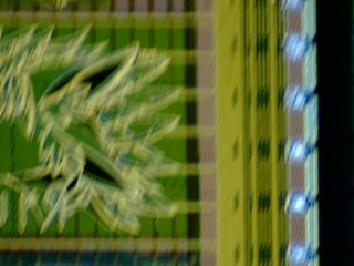 20260506155014218.tif