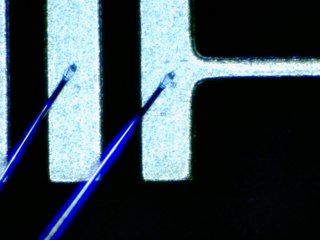 20260506155151689.tif