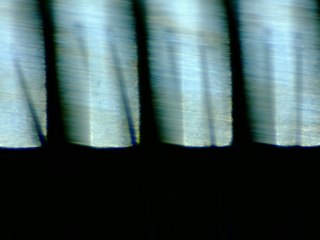 20260506155155685.tif
