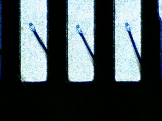 20260506155159687.tif