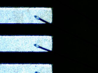 20260506155210697.tif
