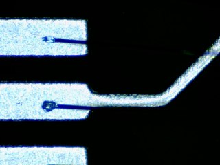 20260506155217681.tif