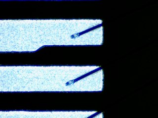 20260506155233677.tif