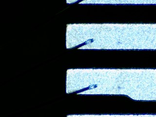 20260506155250686.tif