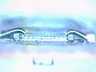 20260506155815475.tif