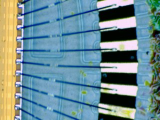 20260507090247857.tif