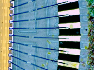 20260507090249889.tif