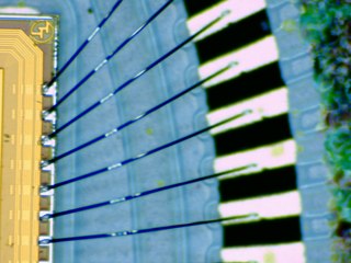 20260507090257871.tif