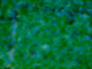 20260507090406964.tif