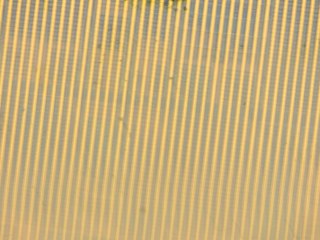 20260507090426009.tif