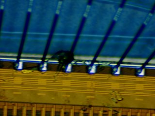 20260507090442018.tif