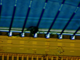 20260507090444011.tif