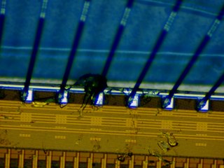 20260507090452035.tif