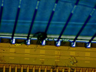 20260507090454039.tif