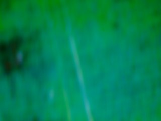 20260507090652187.tif