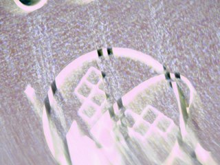 20260507090901257.tif