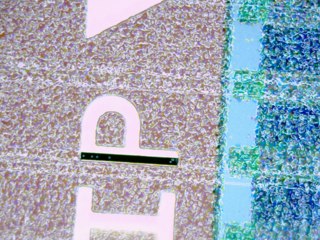 20260507091018447.tif