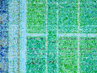 20260507091023440.tif
