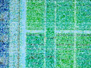 20260507091034438.tif
