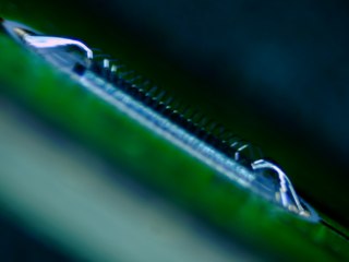 20260507091530270.tif