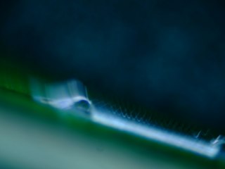 20260507091531259.tif