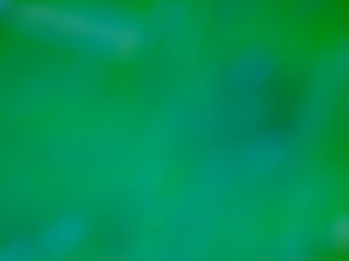 20260507091649366.tif
