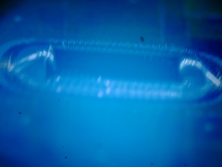 20260507091735442.tif