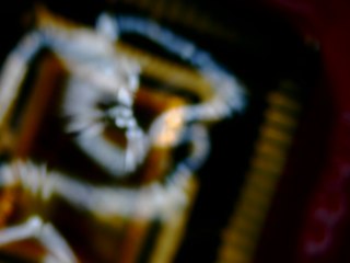 20260507092129610.tif